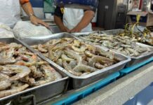 Crece incertidumbre en el consumo de pescados y mariscos en Veracruz; comerciantes ofrecen alternativa de río y laguna