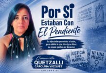 Por Si Estaban Con El Pendiente/Quetzalli Carolina Vázquez