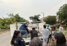Con denuncia ante la Fiscalía, interviene Ayuntamiento de Veracruz en caso de presunto maltrato animal en Sotavento