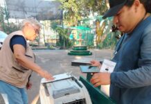 Ayuntamiento de Veracruz brinda atención y resguardo a ejemplar de búho bajeño
