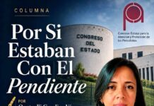 Por Si Estaban Con El Pendiente/Quetzalli Carolina Vázquez