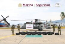 Aseguran 1.3 toneladas de coca en Guerrero