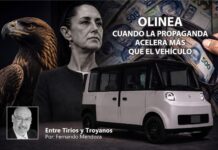 Entre Tirios y Troyanos/Fernando Mendoza