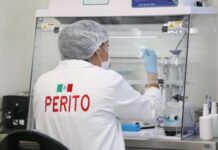 Expertos analizan presuntos restos de la comunicadora Roxana Guzmán; piden no especular mientras no haya dictamen oficial