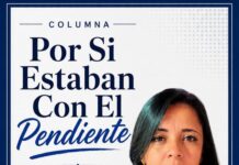 Por Si Estaban Con El Pendiente/Quetzalli Carolina Vázquez
