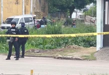 Hallan bolsas con restos humanos dentro de un taxi en Veracruz; suma Coatzacoalcos 33 homicidios doloso