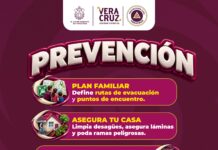 Refuerza Ayuntamiento de Veracruz acciones de prevención ante el inicio de la temporada de frentes fríos
