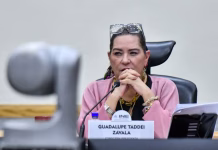 Guadalupe Taddei advierte a consejeros del INE que no renunciará