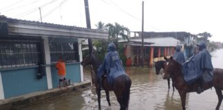 Fuerzas de tarea y planes de emergencia amplían la atención en Hueyapan y Los Tuxtlas