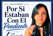 Por Si Estaban Con El Pendiente/Quetzalli Carolina Vázquez